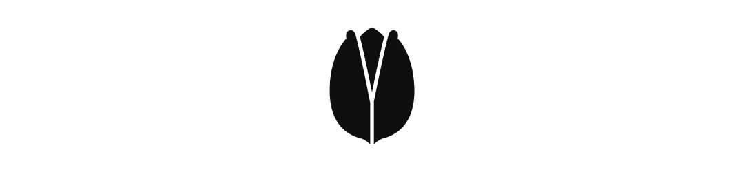 pistacja
